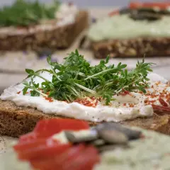 Pyszne, zdrowe pinchos na ciemnym pieczywie z serkiem, rukolą i pomidorem. Idealne na lekki posiłek.