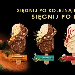 Nuii lody: koala w Australii, cztery smaki lodów: słony karmel, migdały z jawy, biała czekolada z borówkami, ciemna czekolada z jagodami.