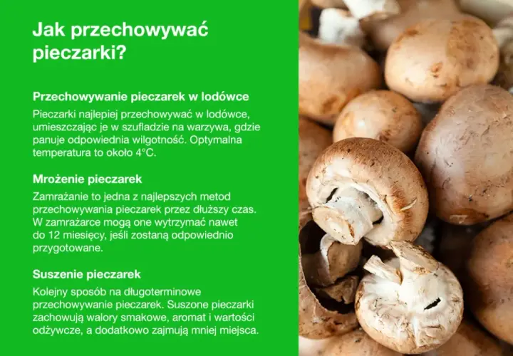 Jak przechowywać pieczarki: w lodówce, mrożone lub suszone. Świeże pieczarki najlepiej trzymać w szufladzie na warzywa.
