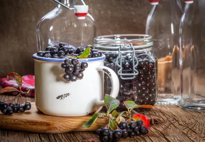 Aronia w słoiku i kubku, gotowa na nalewkę z aronii przepis babci. Obok puste butelki.