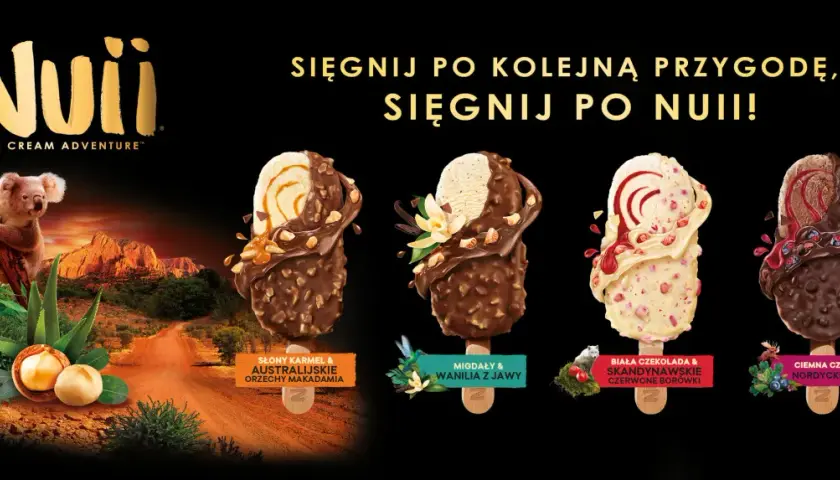 Nuii lody: koala w Australii, cztery smaki lodów: słony karmel, migdały z jawy, biała czekolada z borówkami, ciemna czekolada z jagodami.