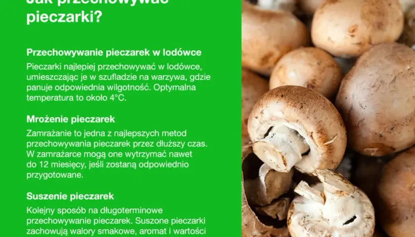 Jak przechowywać pieczarki: w lodówce, mrożone lub suszone. Świeże pieczarki najlepiej trzymać w szufladzie na warzywa.