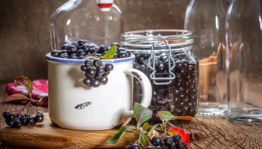 Aronia w słoiku i kubku, gotowa na nalewkę z aronii przepis babci. Obok puste butelki.