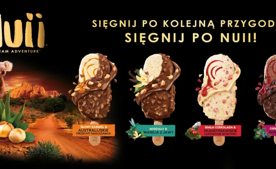 Lody Nuii - smaki, skład i cena. Czy warto wybrać ten deser?