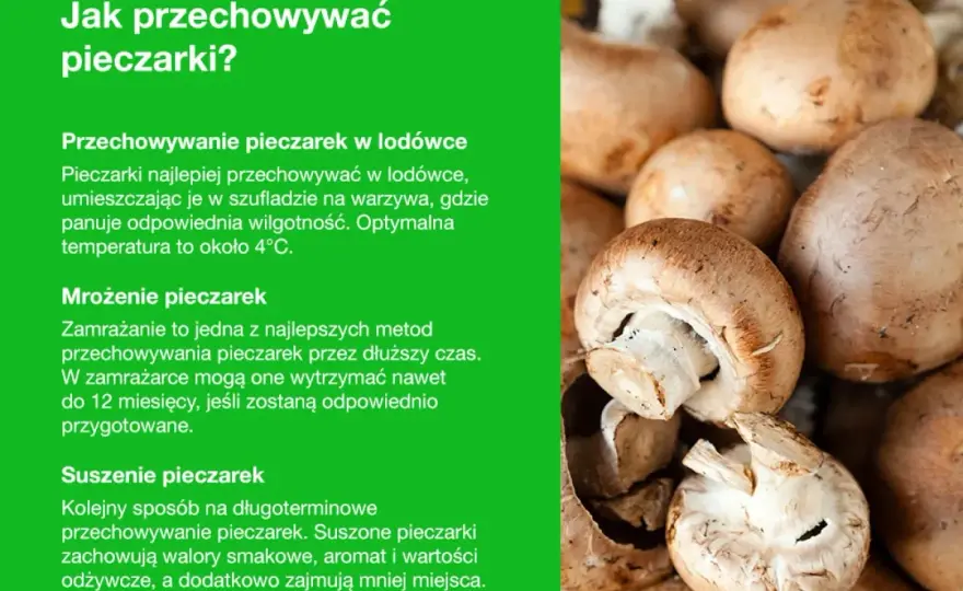 Jak przechowywać pieczarki, by były świeże i jasne? - Sprawdzone rady