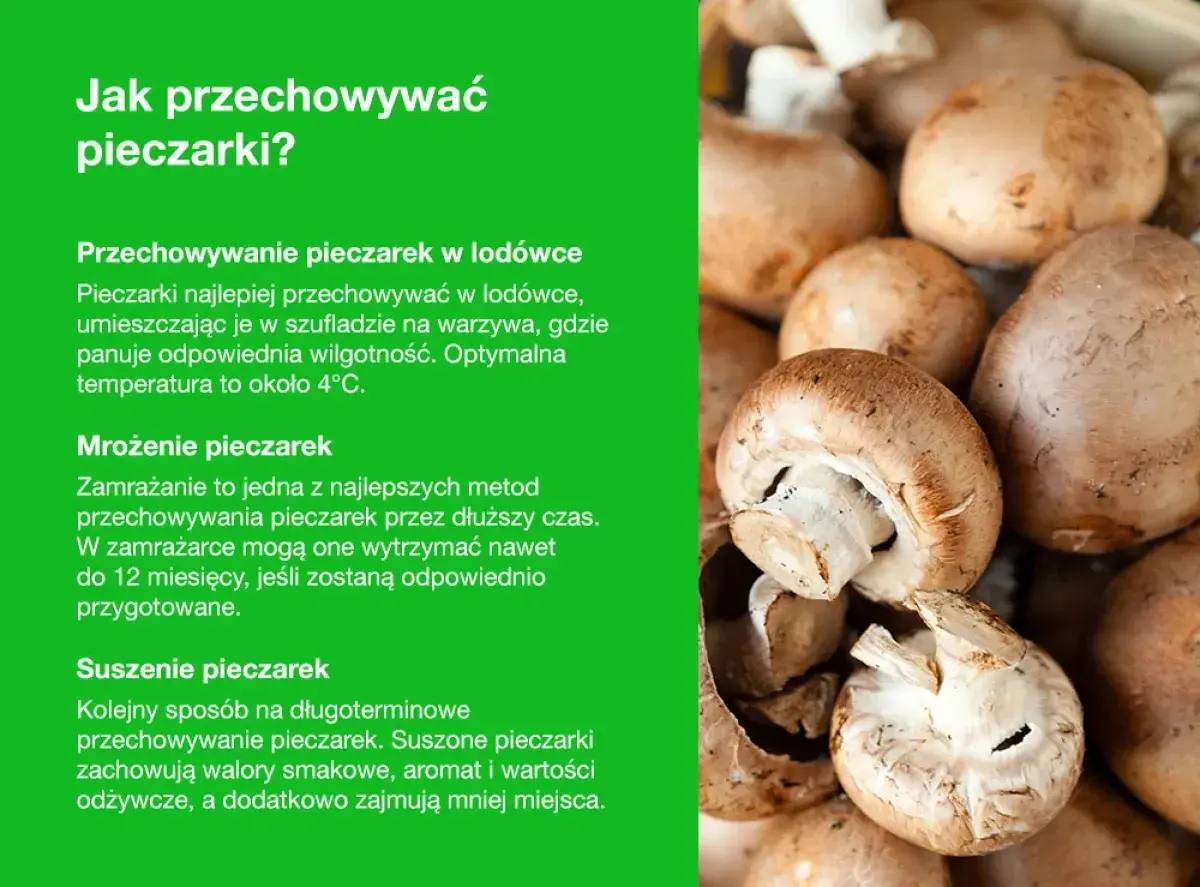 Jak przechowywać pieczarki: w lodówce, mrożone lub suszone. Świeże pieczarki najlepiej trzymać w szufladzie na warzywa.