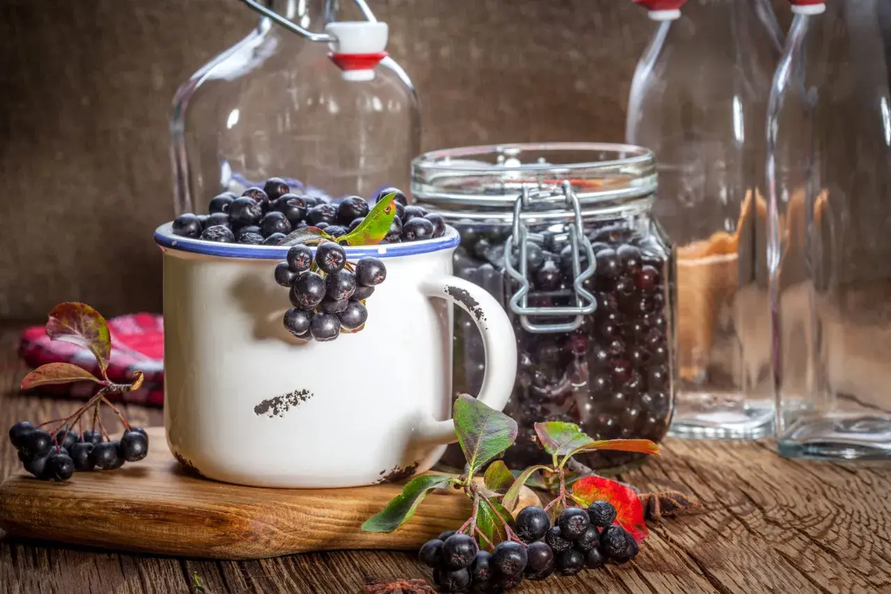 Aronia w słoiku i kubku, gotowa na nalewkę z aronii przepis babci. Obok puste butelki.