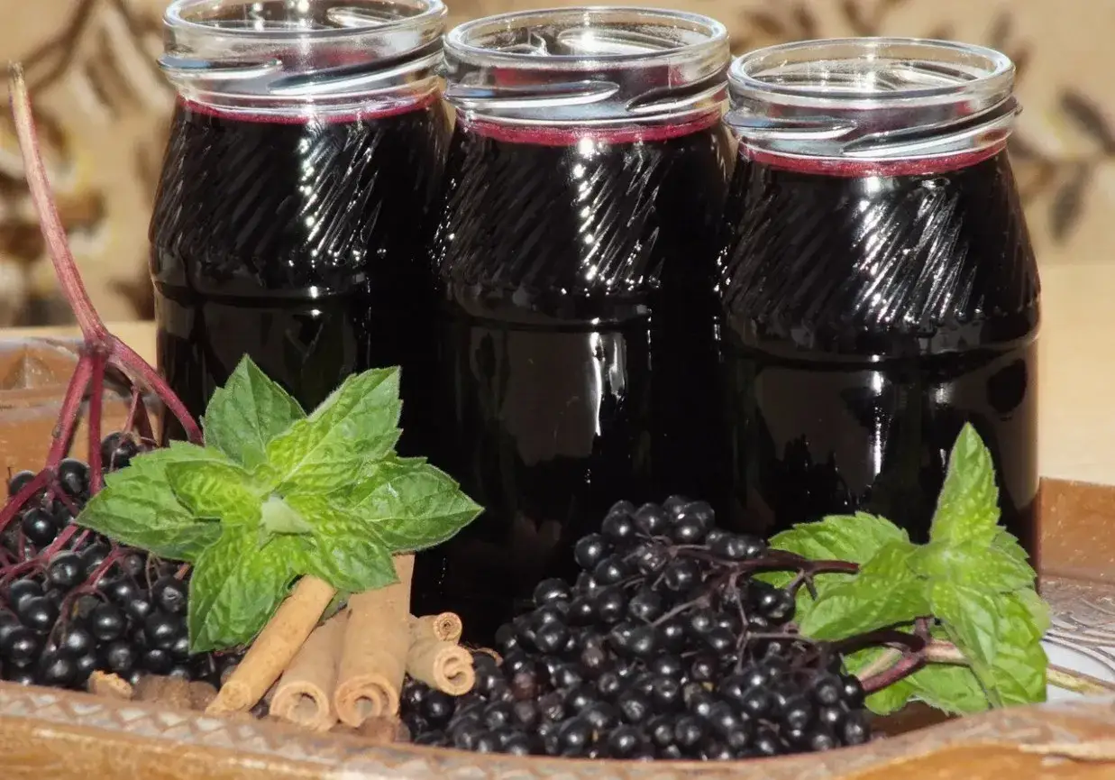 Trzy butelki ciemnego soku z czarnego bzu, ozdobione świeżymi owocami, miętą i laskami cynamonu.